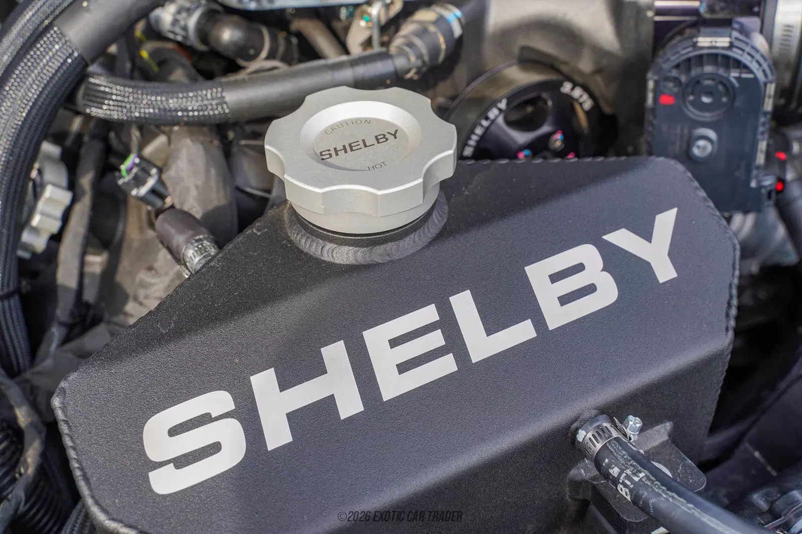 2023 Ford Mustang Shelby Super Snake