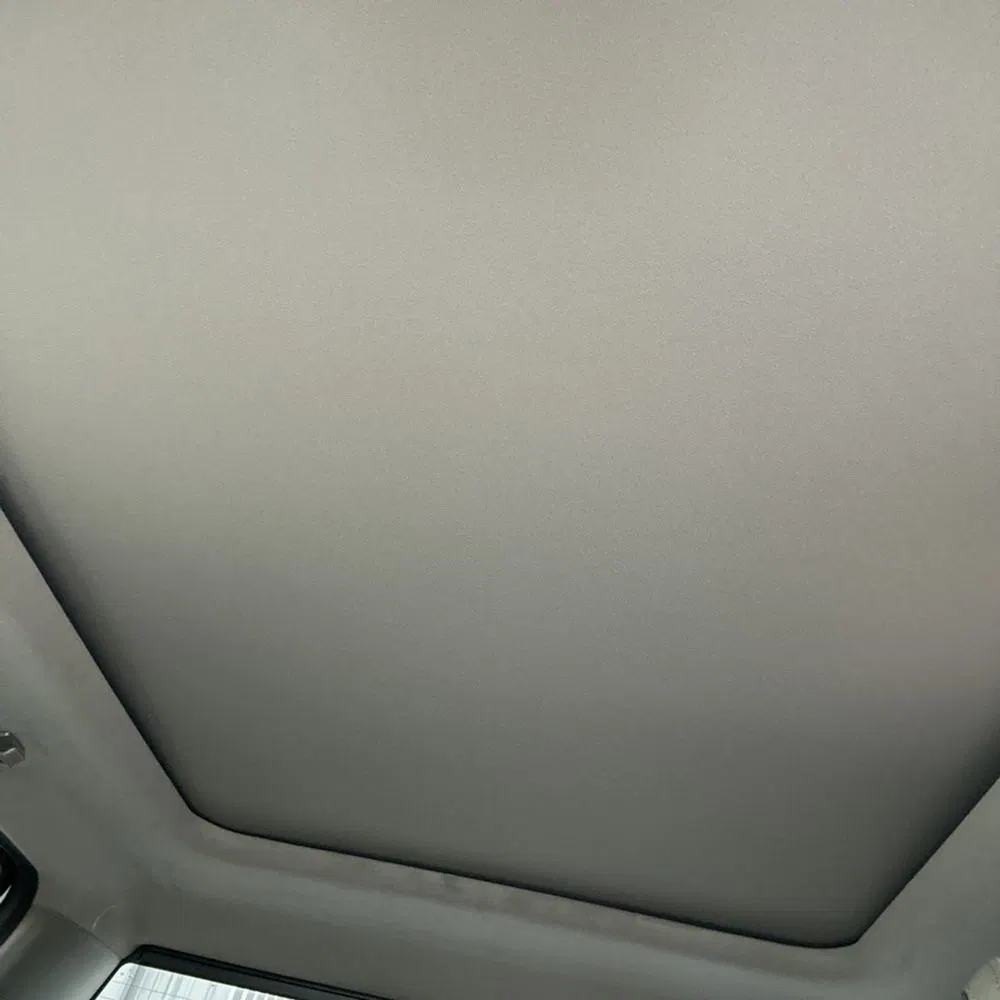 2025 Ford F450 S/D Platinum