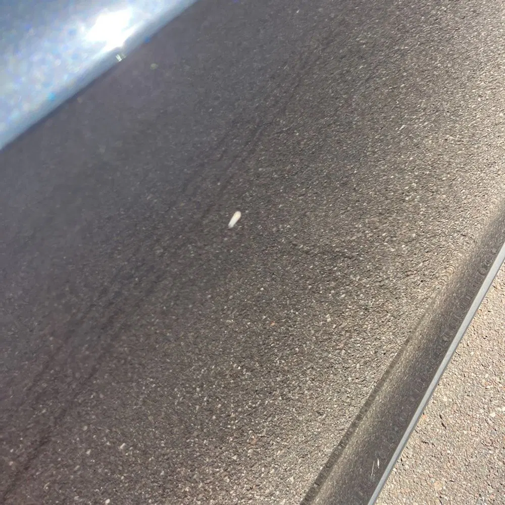 2024 Tesla Model X Plaid