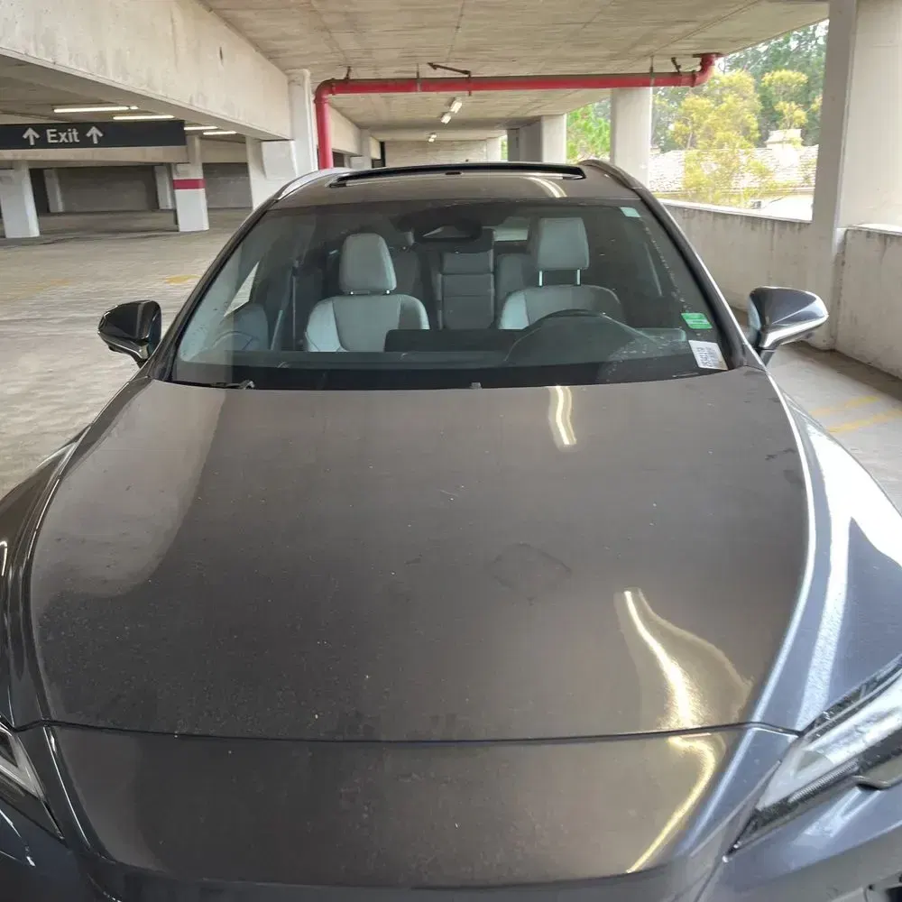 2024 Lexus RX 350 Premium+