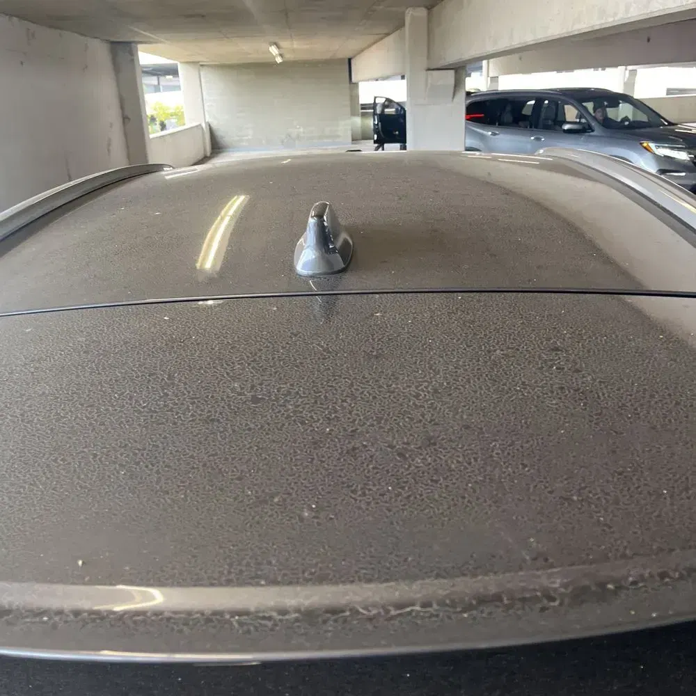 2024 Lexus RX 350 Premium+
