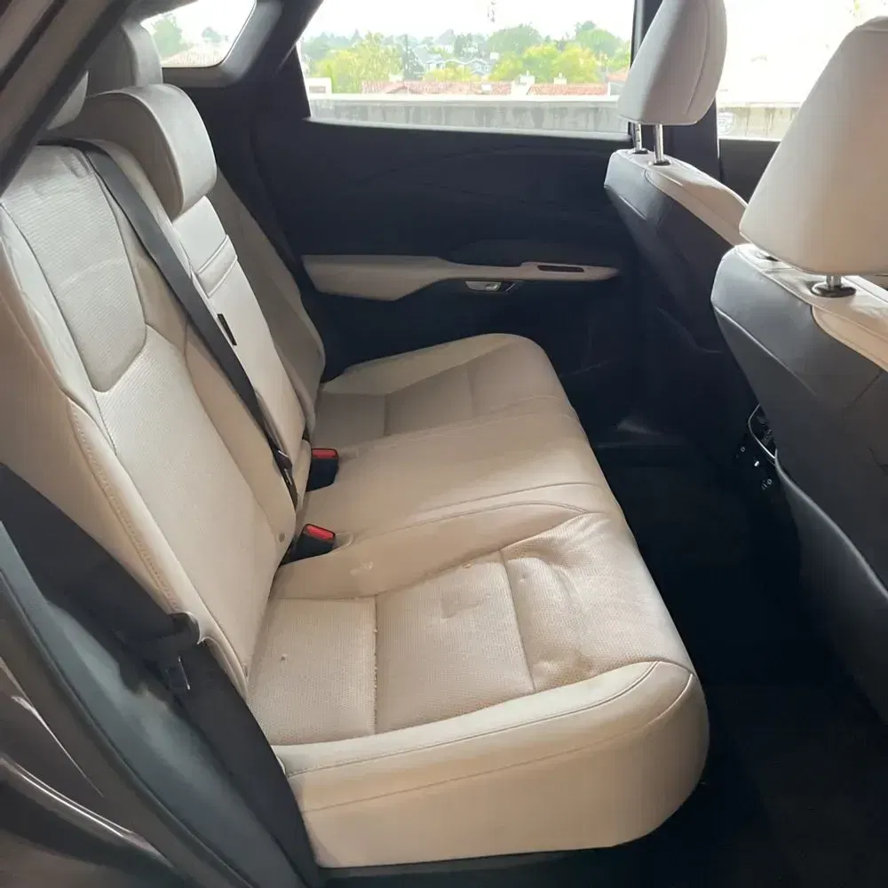 2024 Lexus RX 350 Premium+