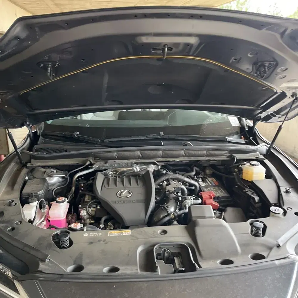 2024 Lexus RX 350 Premium+