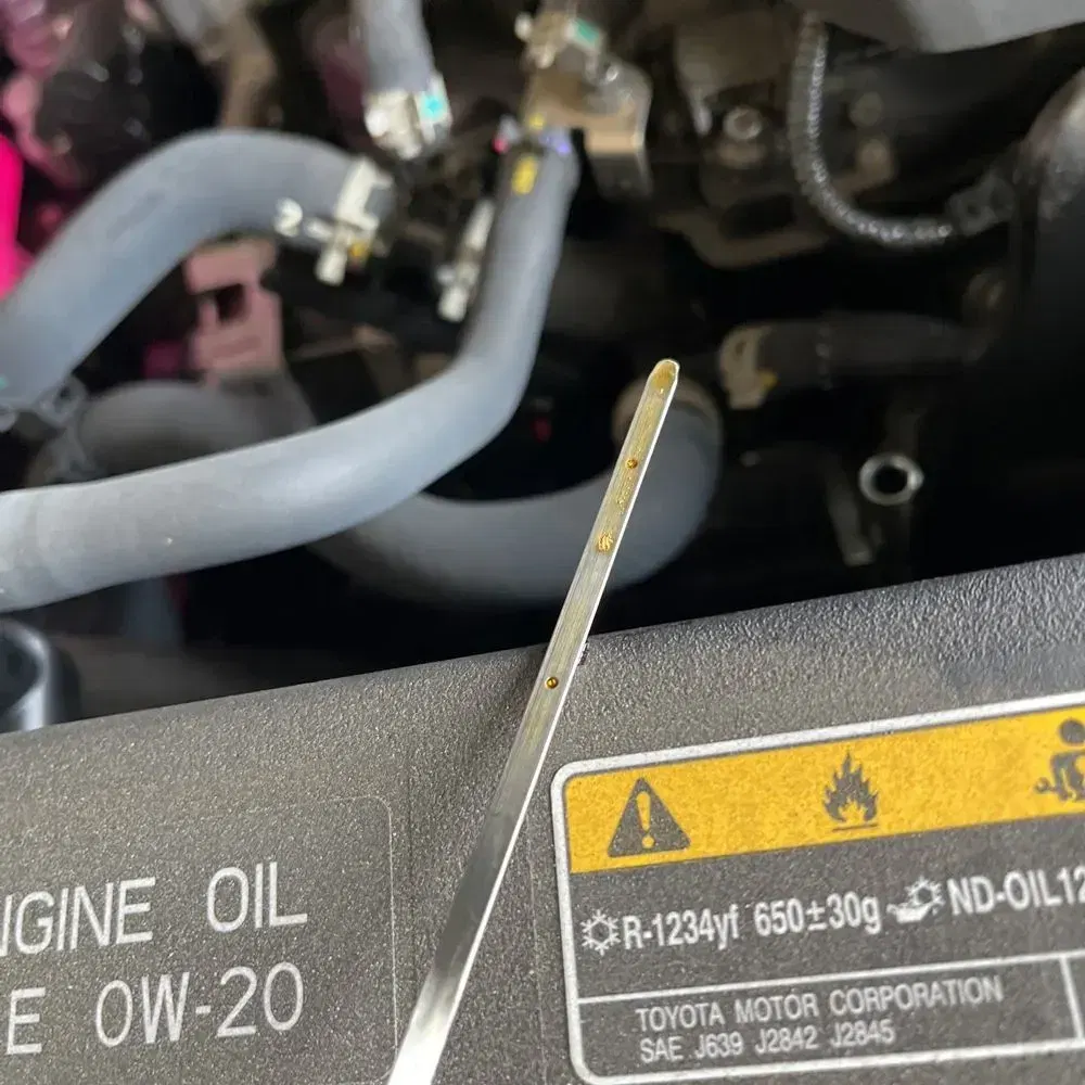 2024 Lexus RX 350 Premium+