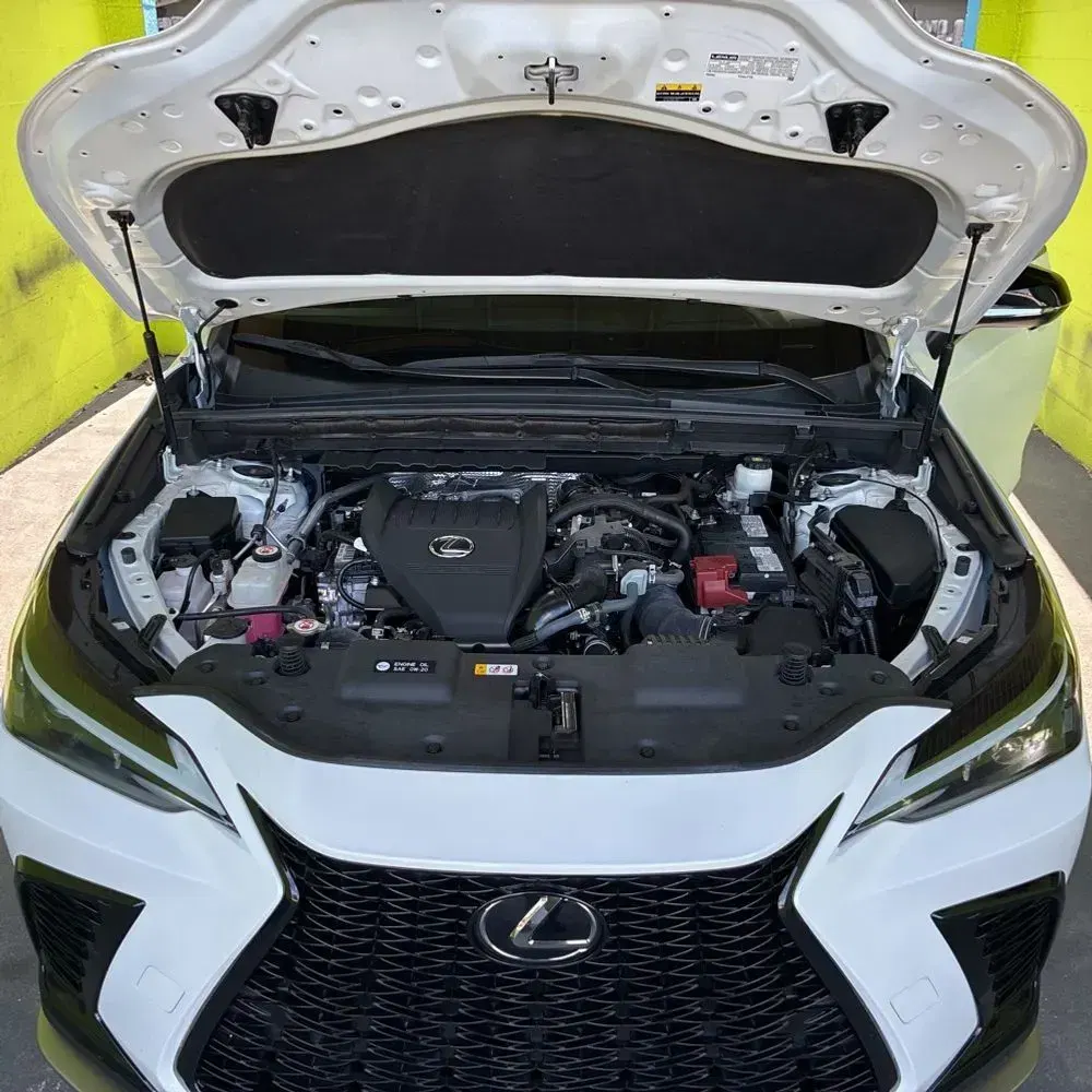 2024 Lexus NX 350 F SPORT Handling