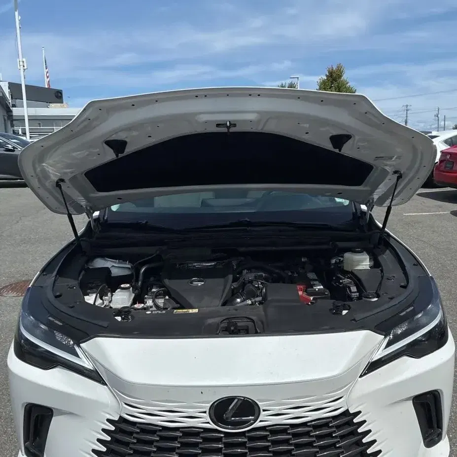 2023 Lexus RX 350 Premium