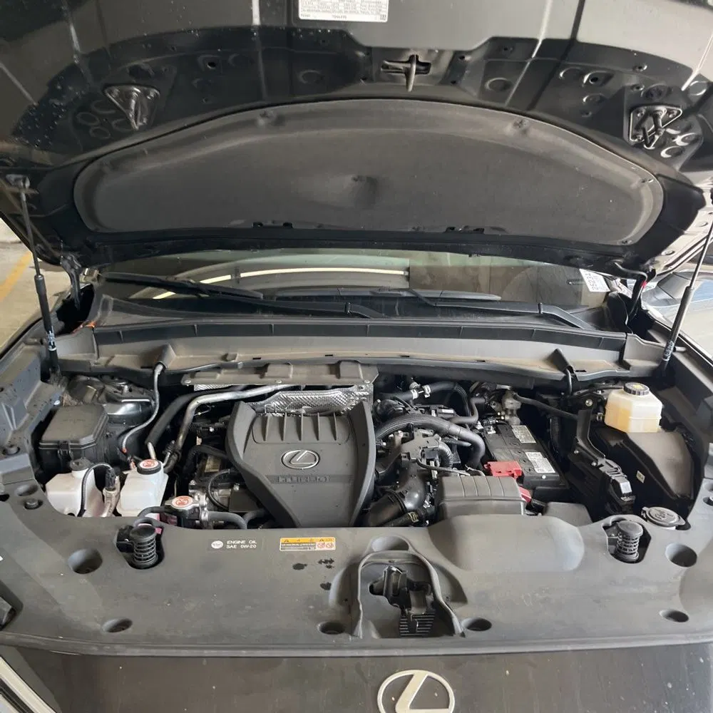 2024 Lexus TX 350 Premium