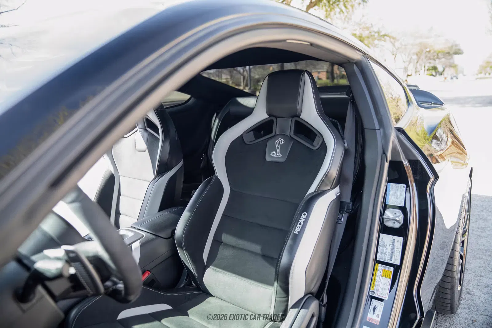 2022 Ford Mustang Shelby GT500