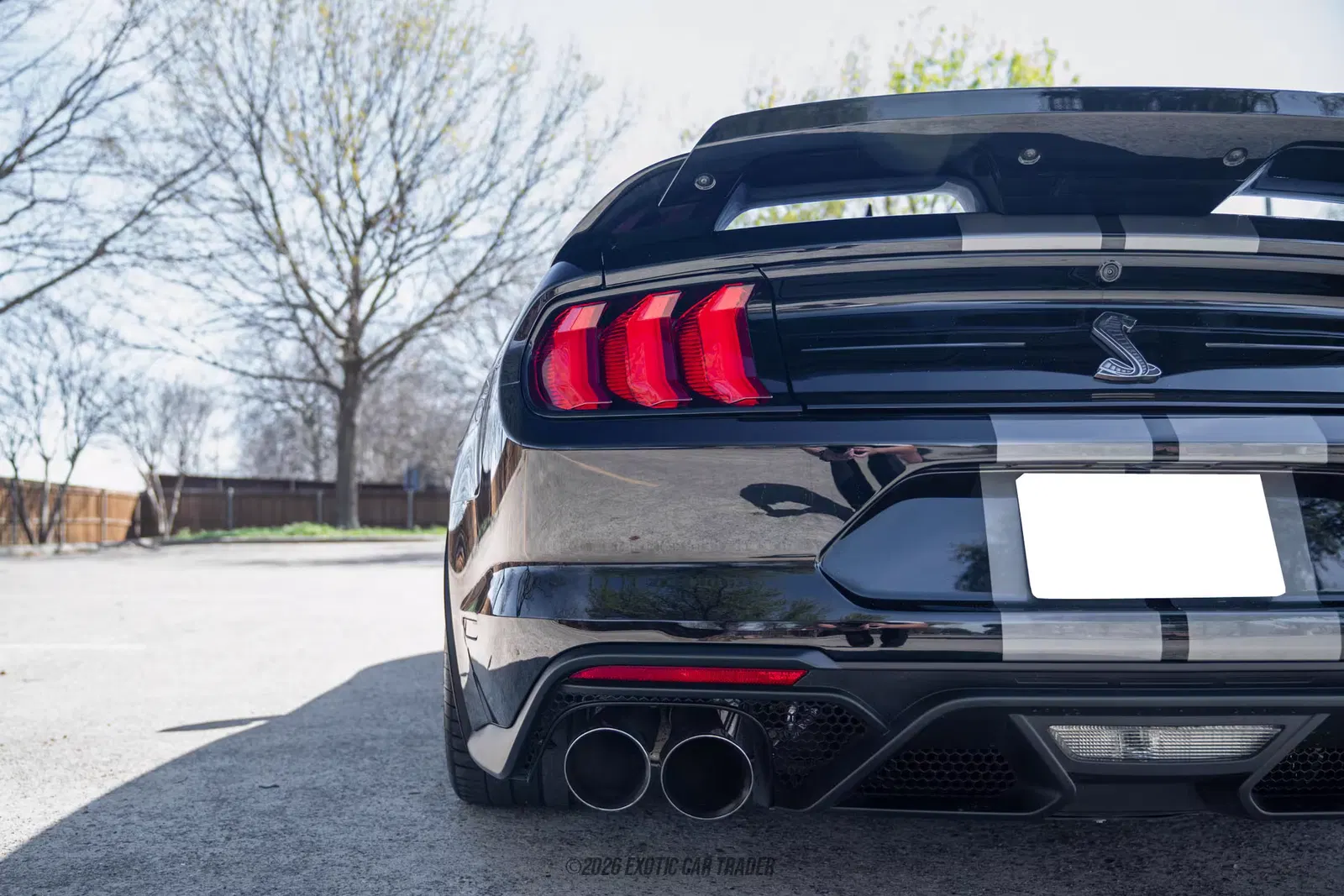 2022 Ford Mustang Shelby GT500