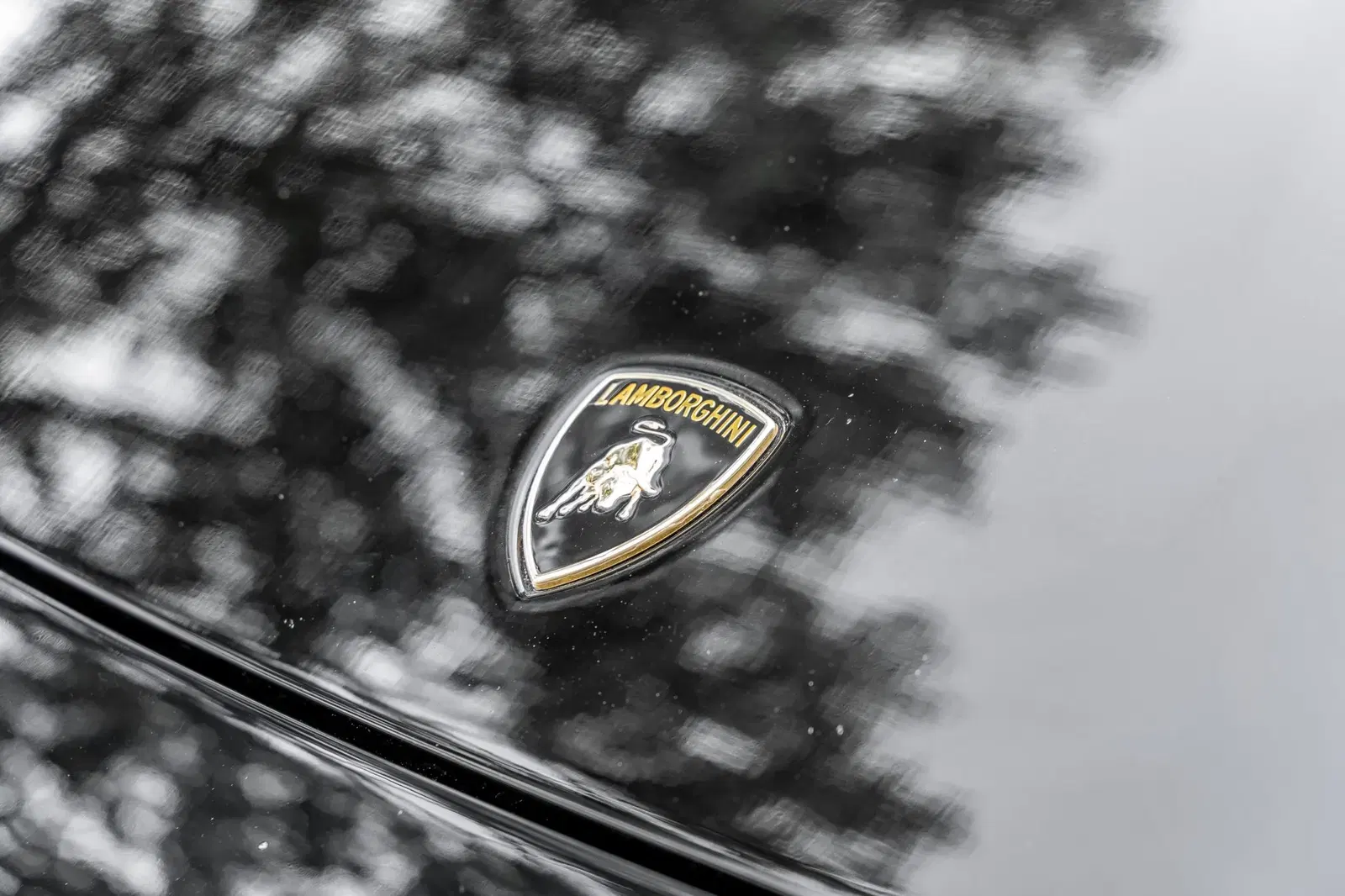 2007 Lamborghini Murcielago LP640 Versace Edition