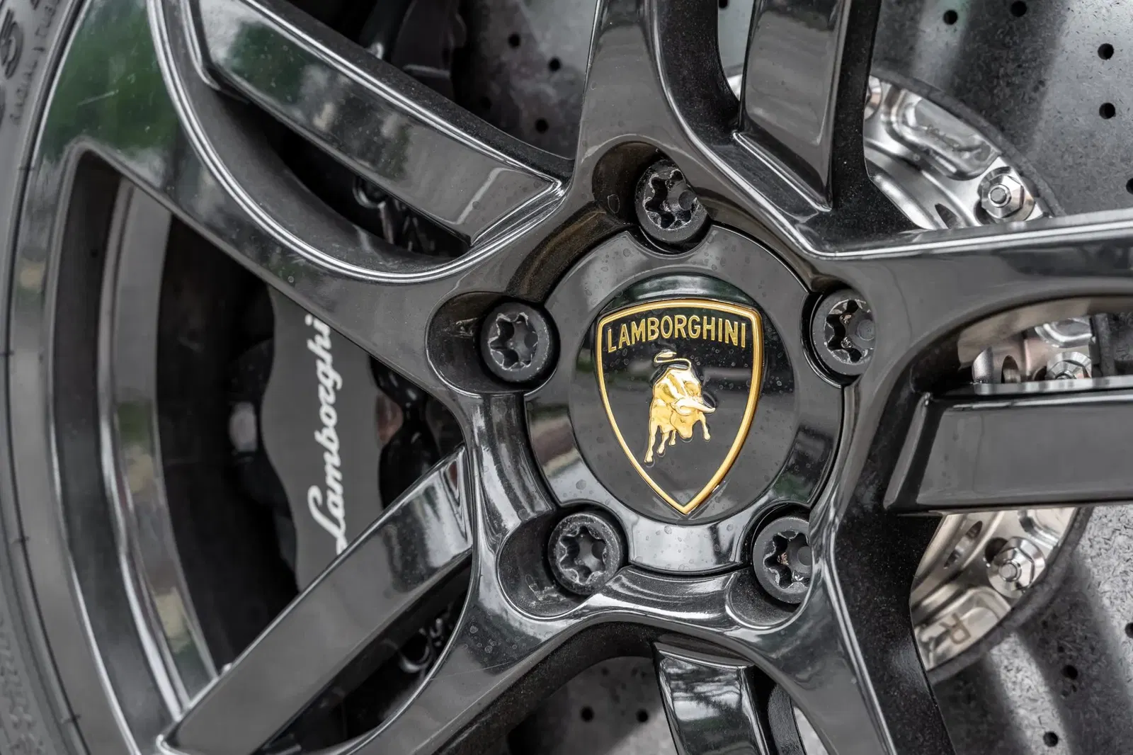 2007 Lamborghini Murcielago LP640 Versace Edition
