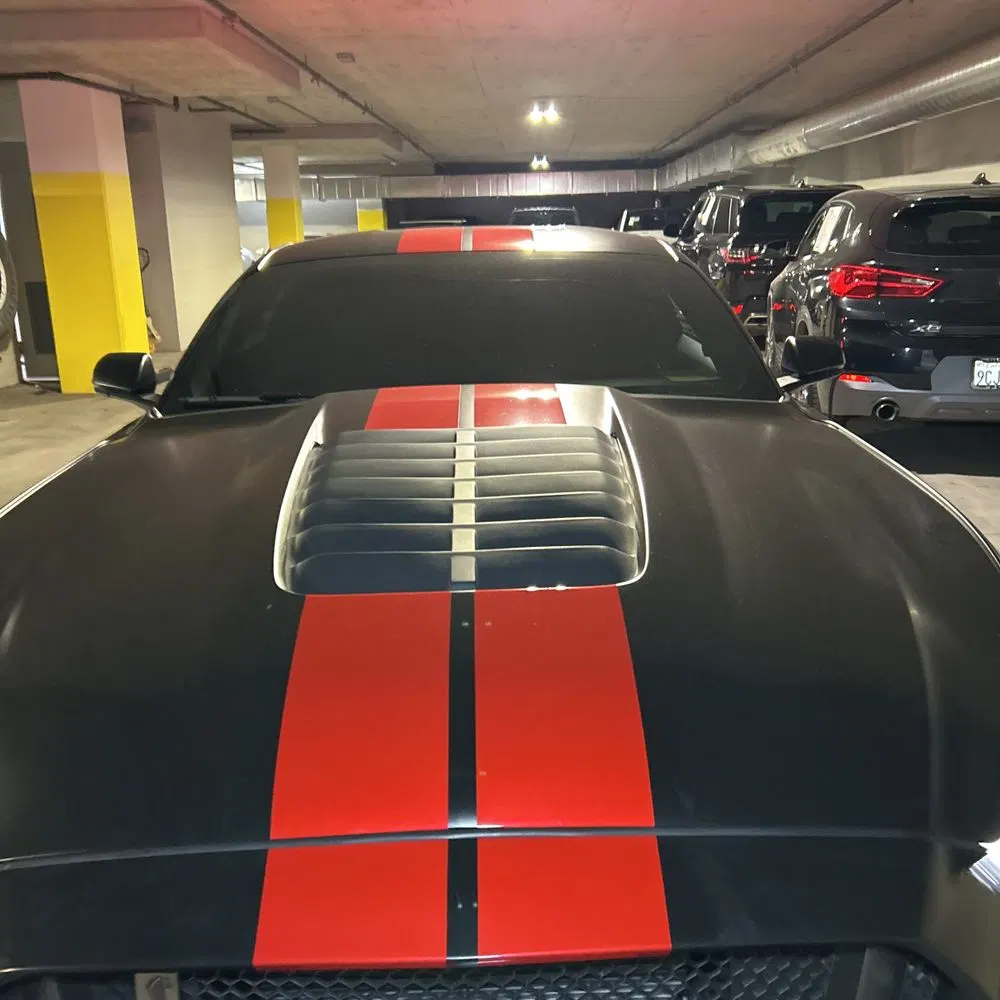 2019 Ford Mustang Shelby GT350