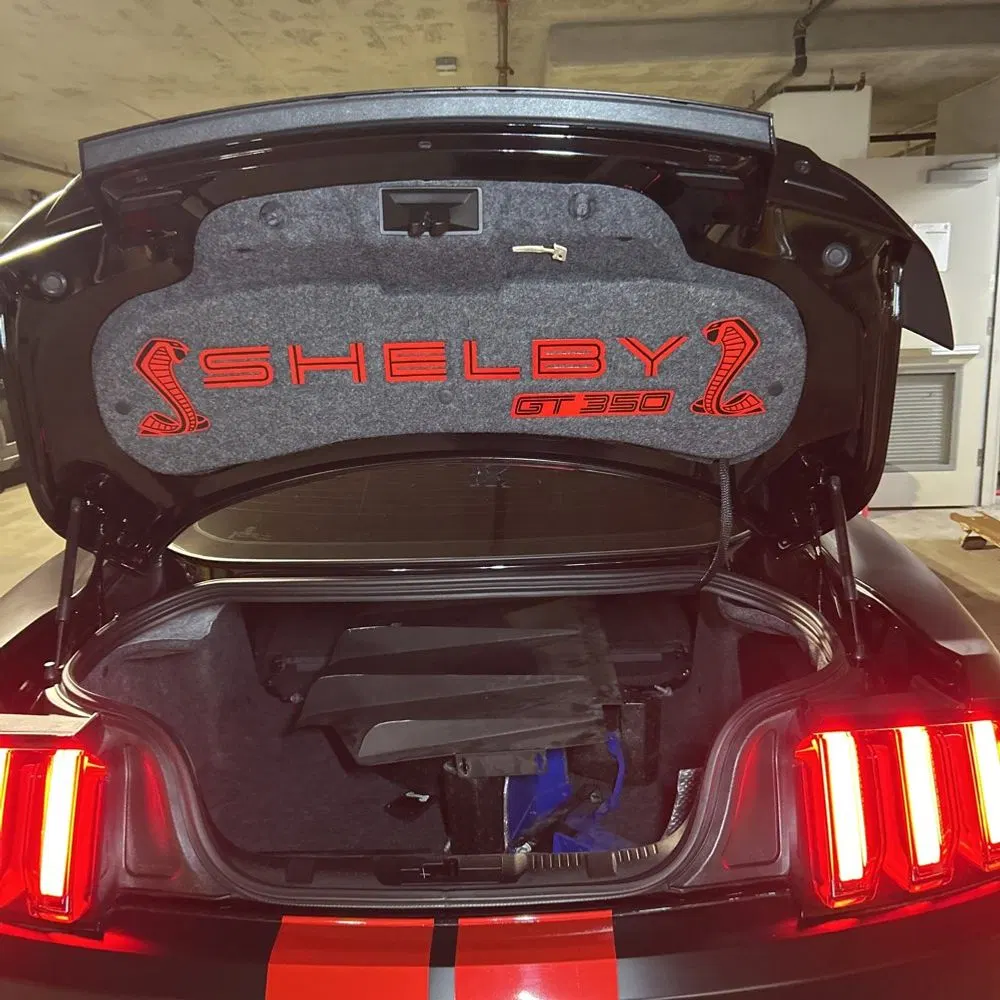2019 Ford Mustang Shelby GT350