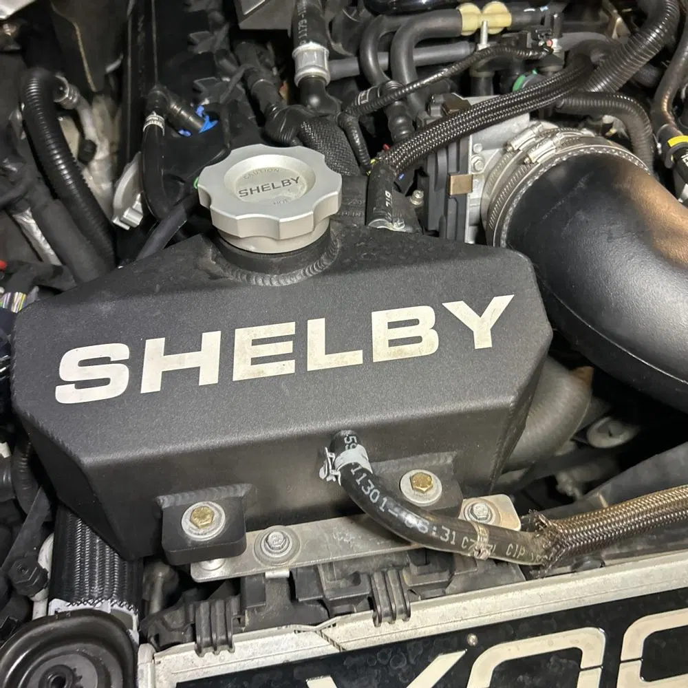 2019 Ford Mustang Shelby GT350