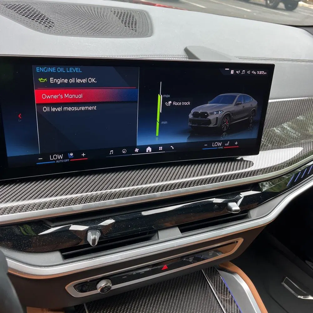 2024 BMW X6 M60i