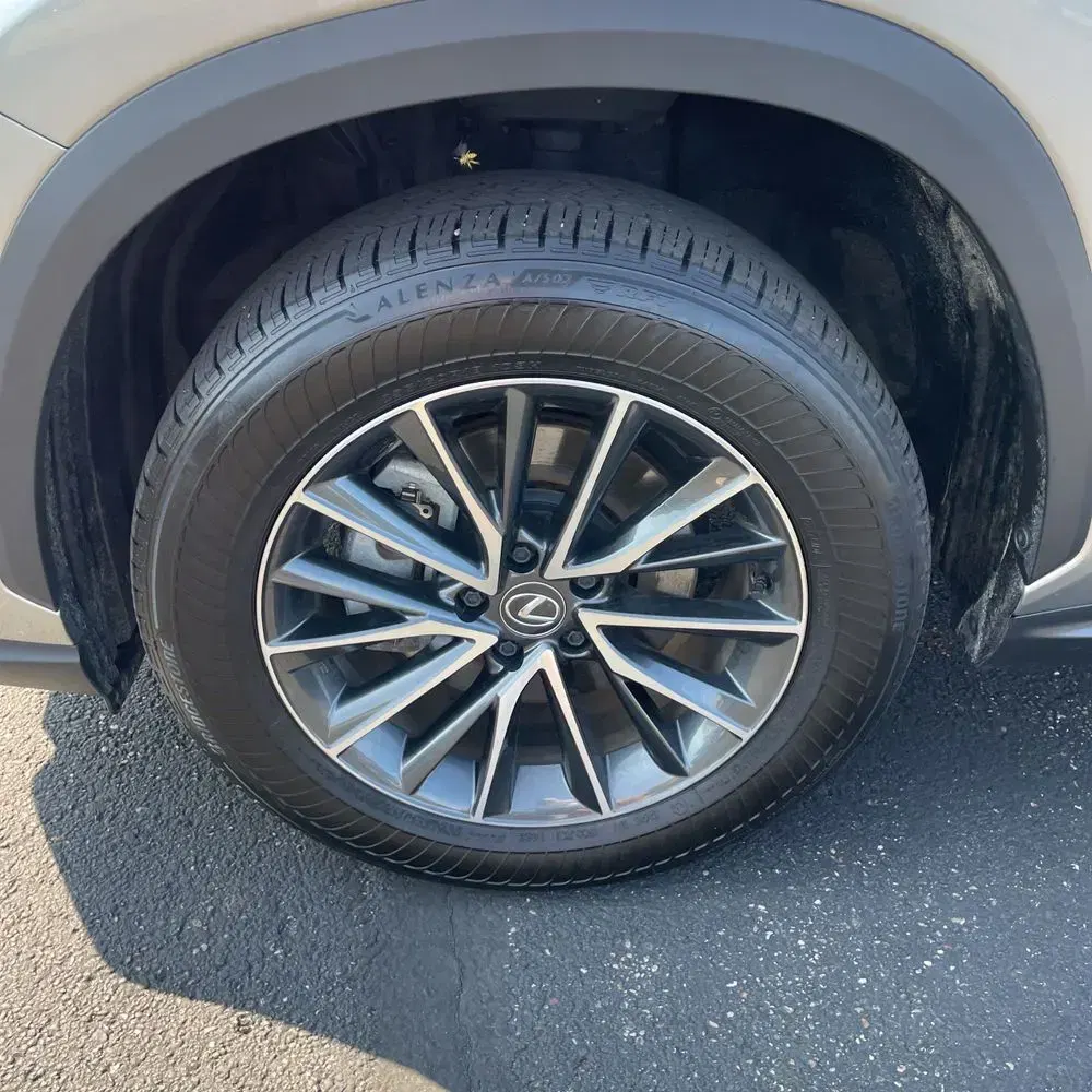 2024 Lexus NX 350h Premium