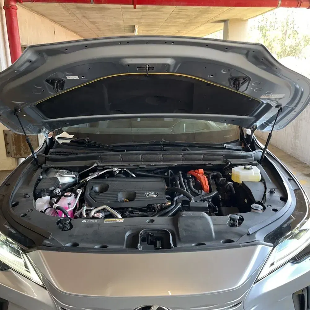 2024 Lexus RX 450h+ Luxury