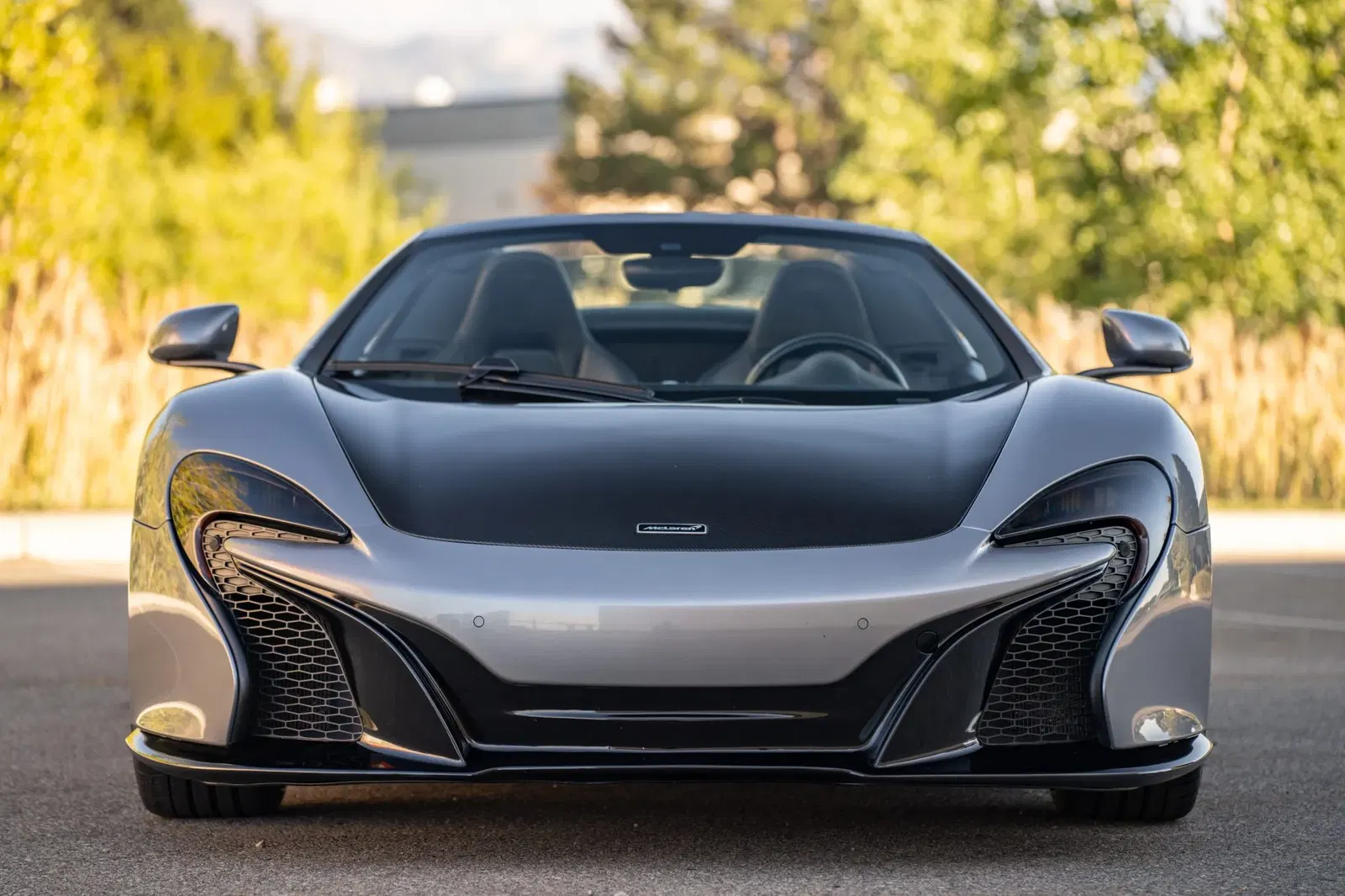 2015 McLaren 650S Spider