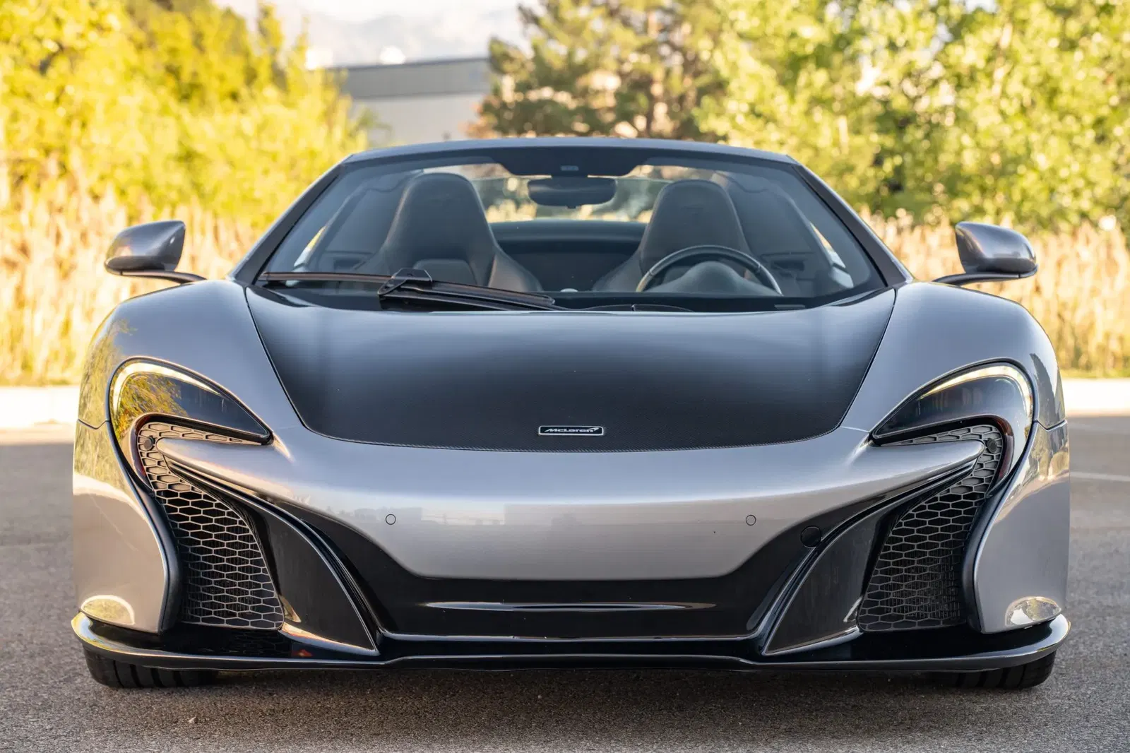 2015 McLaren 650S Spider