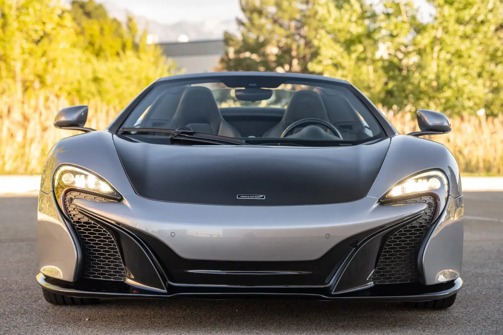 2015 McLaren 650S Spider