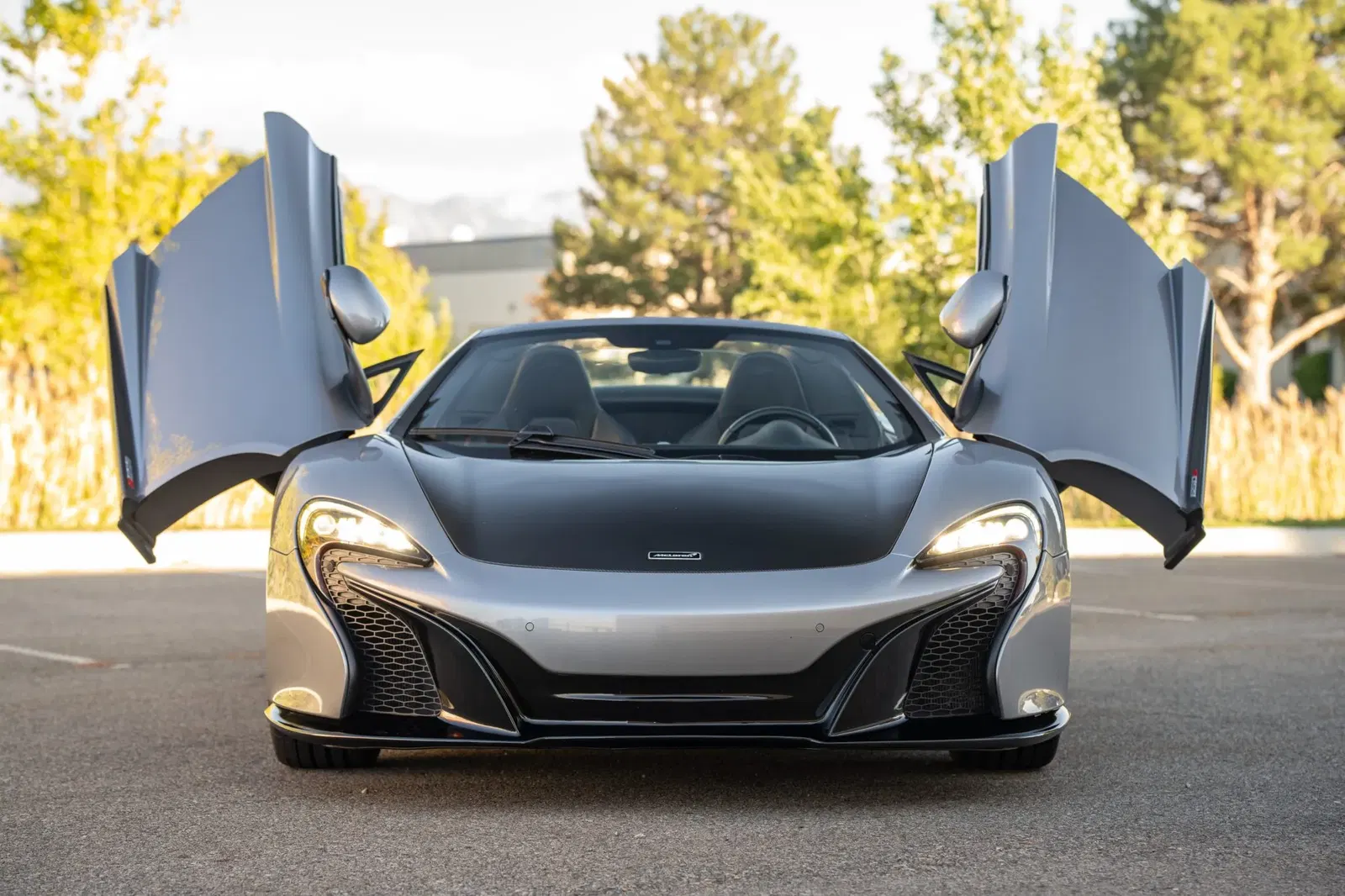 2015 McLaren 650S Spider