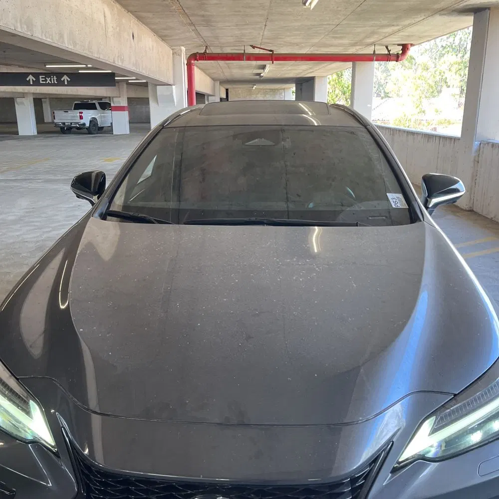 2024 Lexus NX 450h+ F SPORT Handling