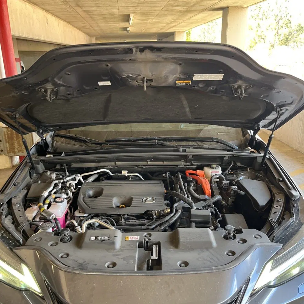 2024 Lexus NX 450h+ F SPORT Handling