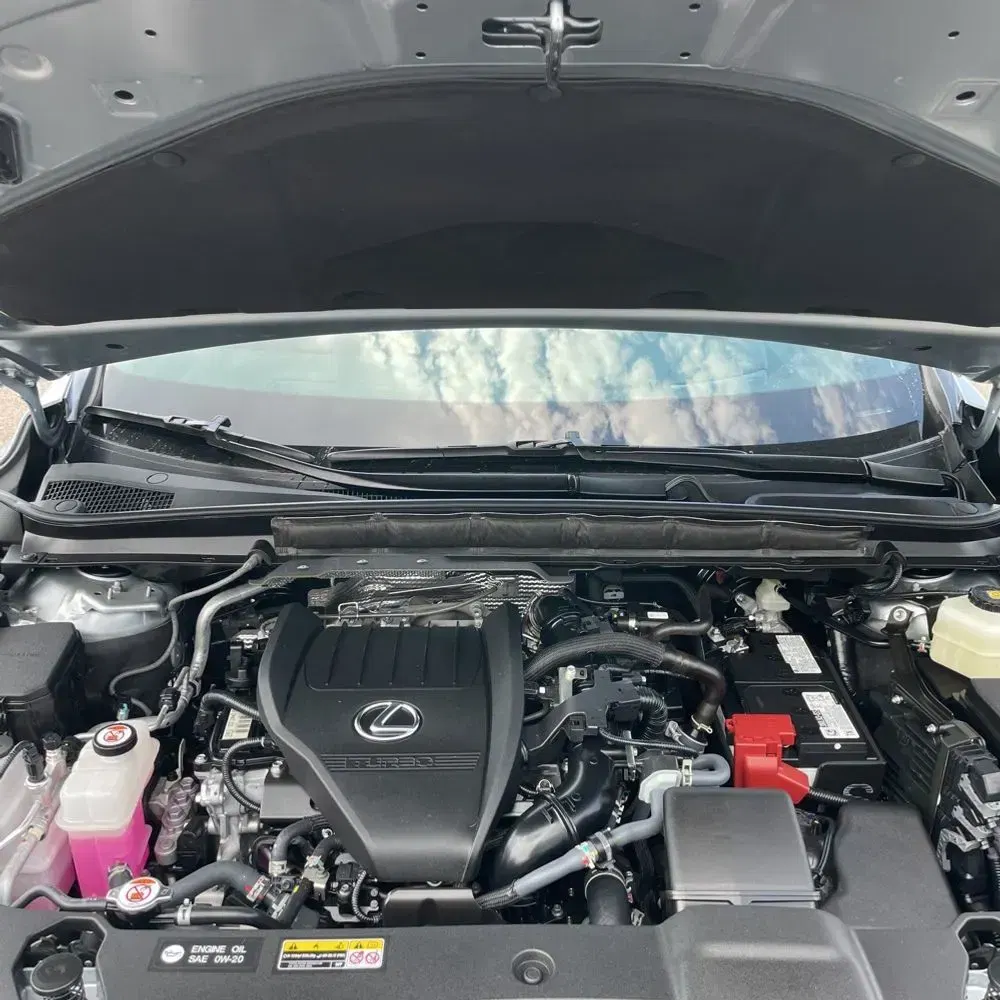 2024 Lexus RX 350 Premium+
