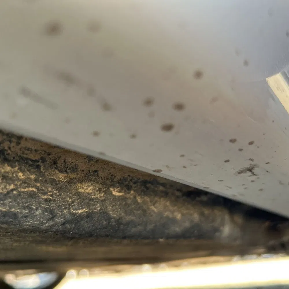 2023 BMW 8-Series M850xi Grn Coupe
