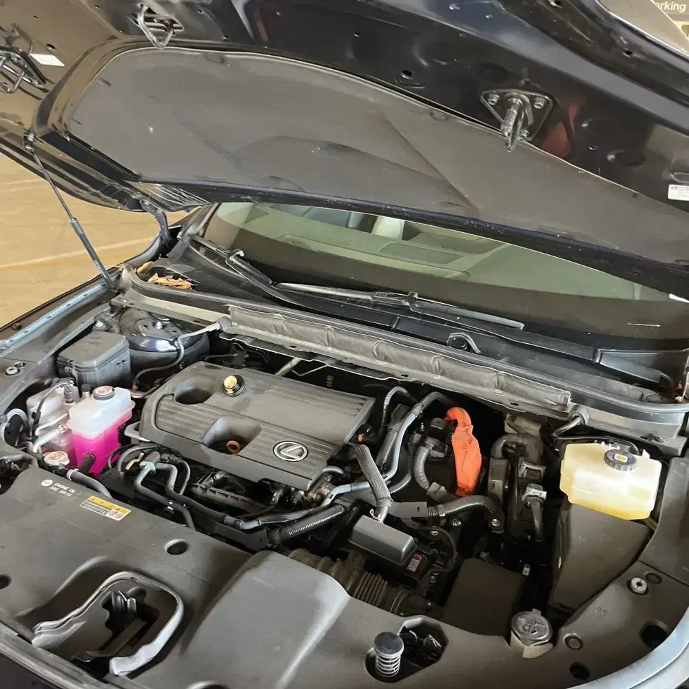 2024 Lexus RX 350h Premium