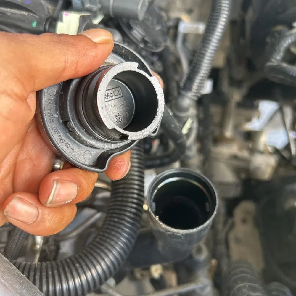 2024 Ford F250 S/D Platinum