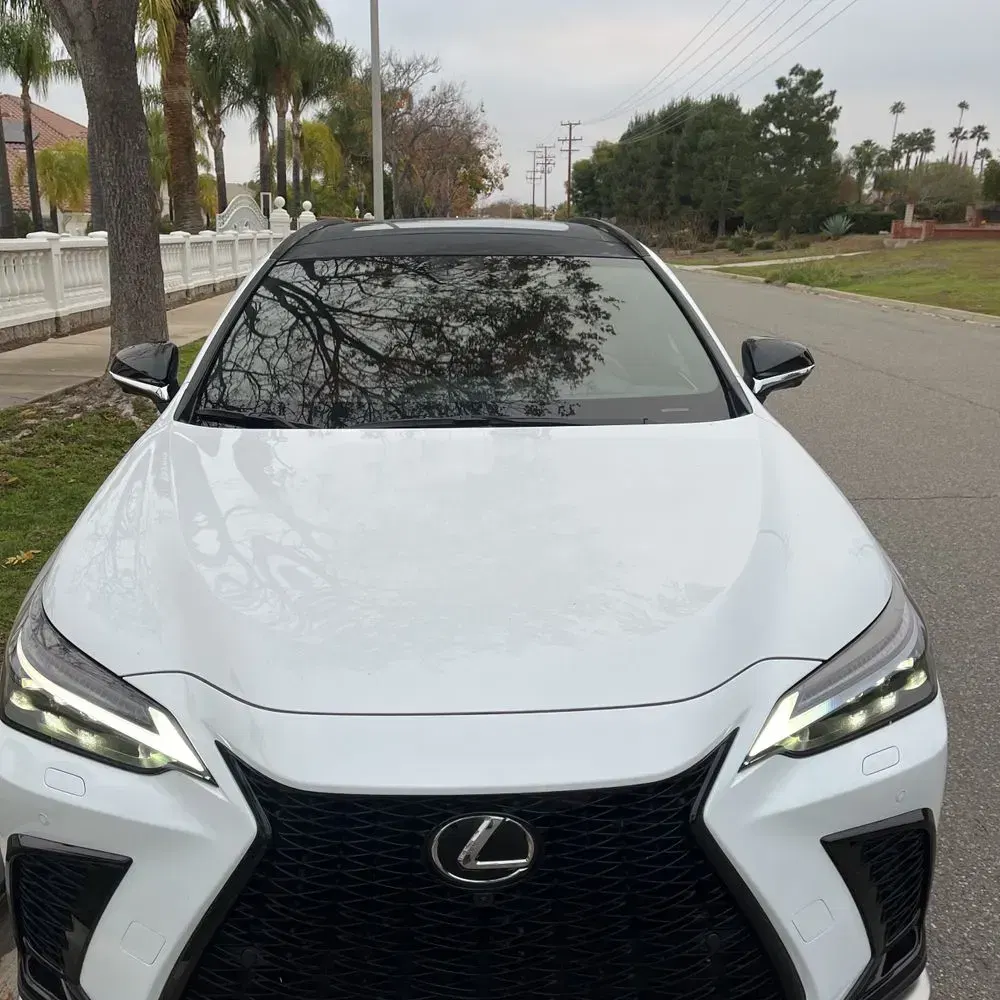 2025 Lexus NX 450h+ F SPORT Handling