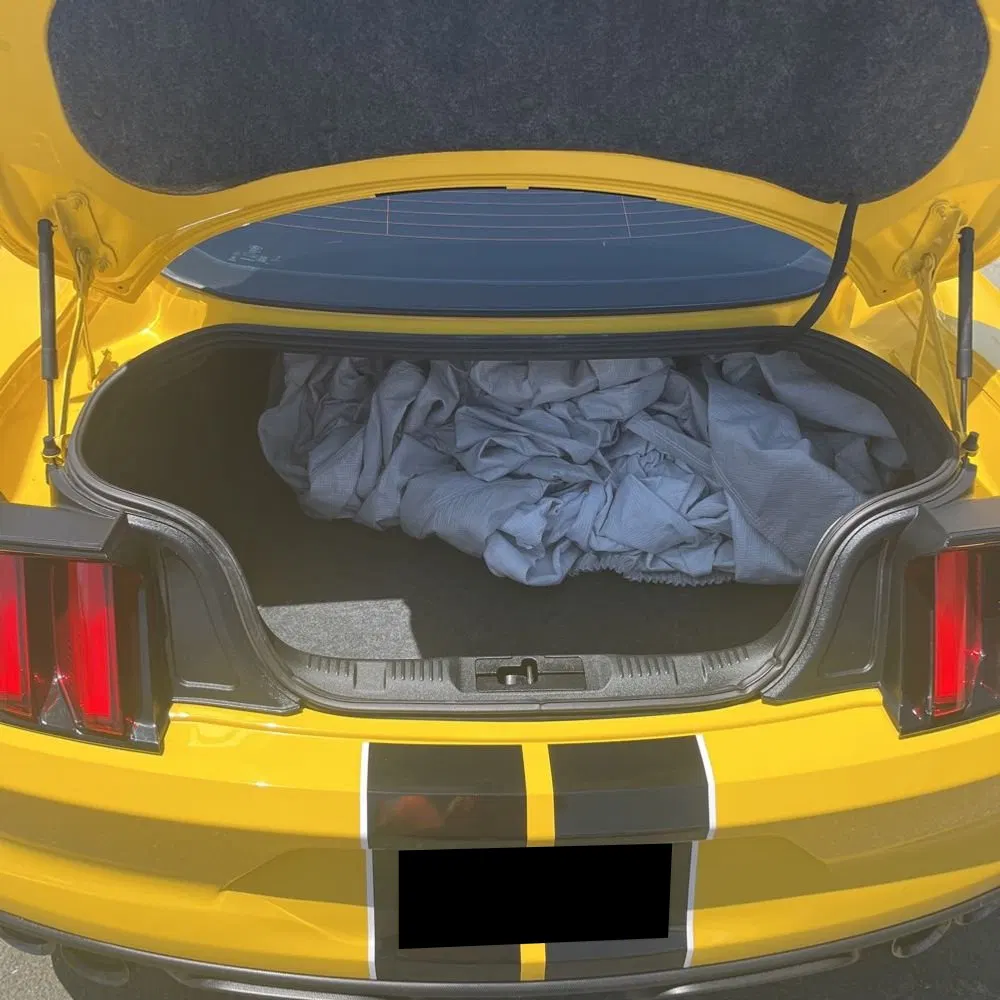 2018 Ford Mustang Shelby GT350