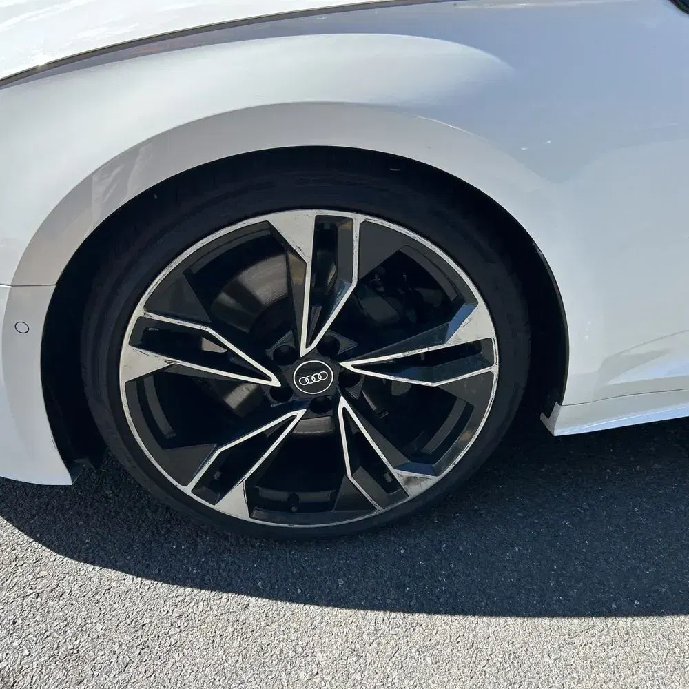 2023 Audi S5 Prestige