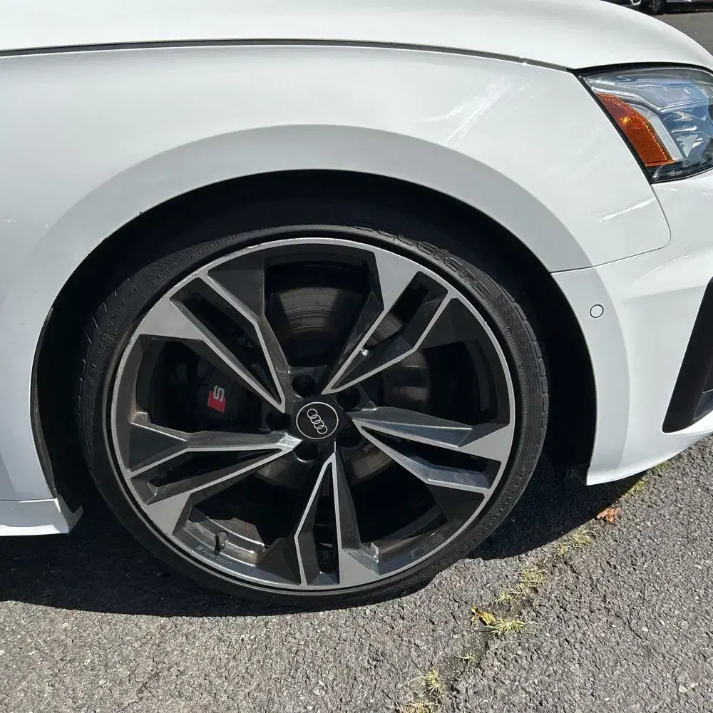 2023 Audi S5 Prestige