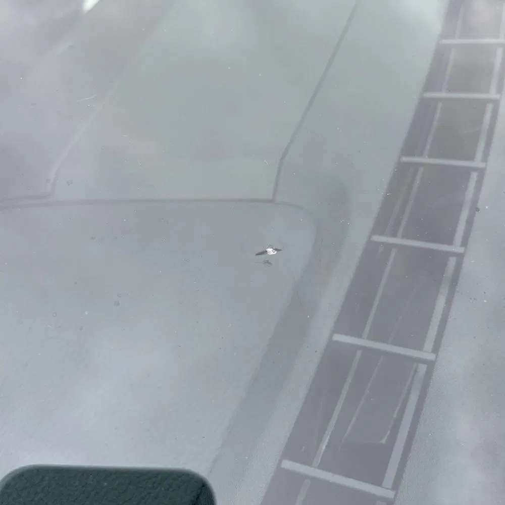 2019 Ford Mustang Shelby GT350