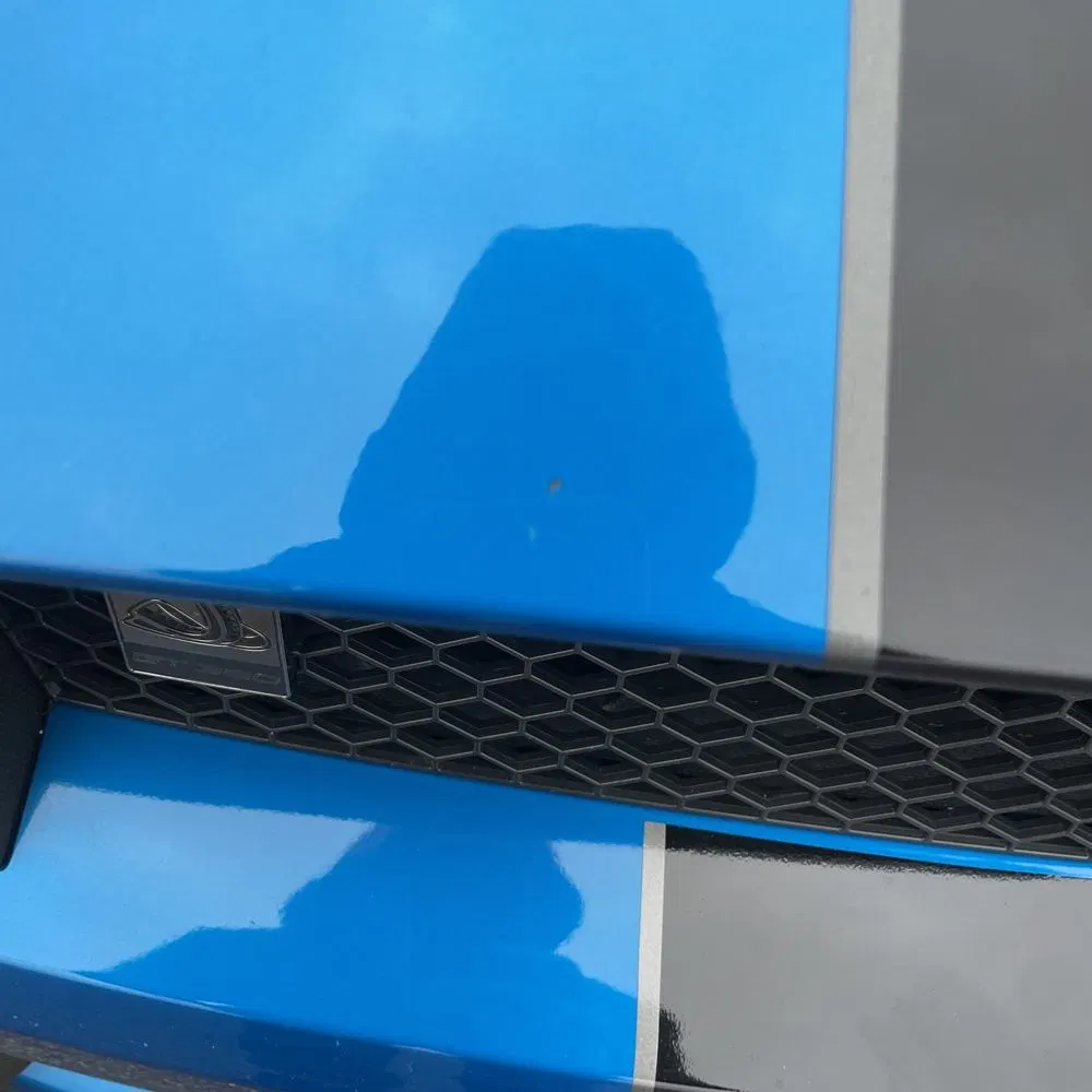 2019 Ford Mustang Shelby GT350