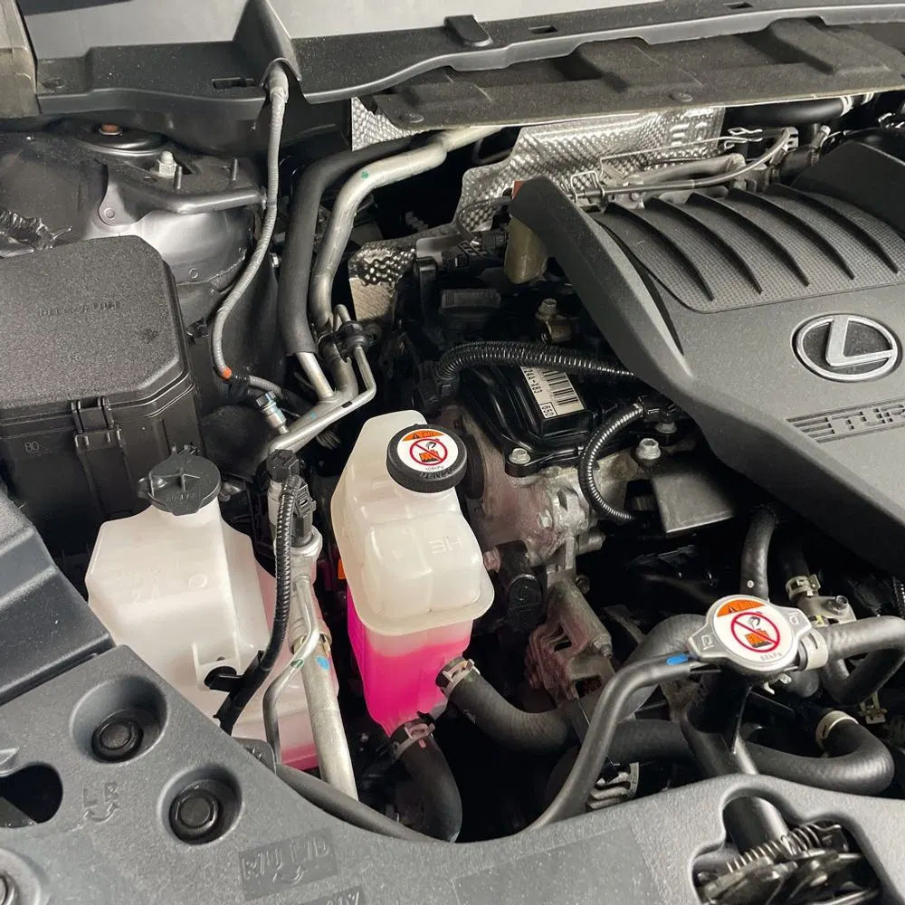 2024 Lexus TX 350 Premium
