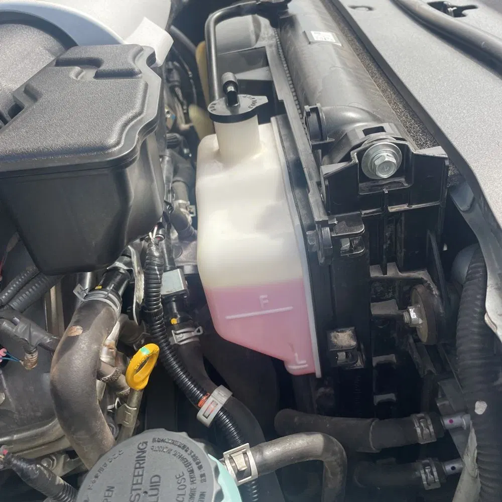 2019 Toyota Land Cruiser Base