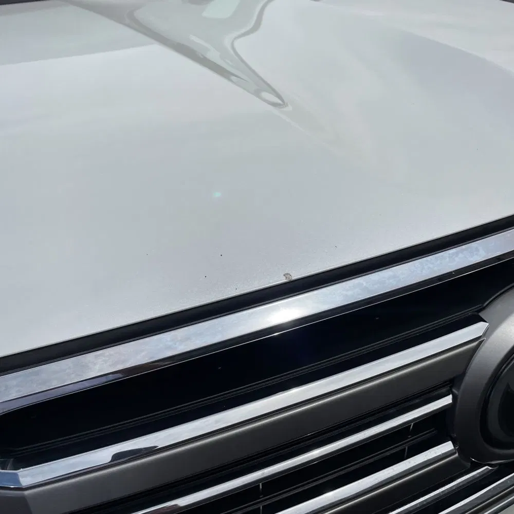 2019 Toyota Land Cruiser Base
