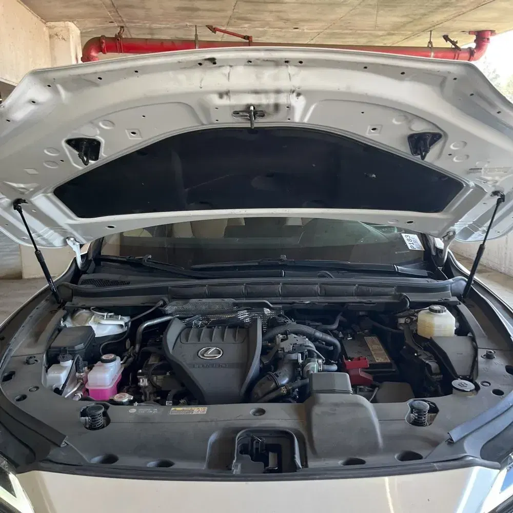 2023 Lexus RX 350 Premium+
