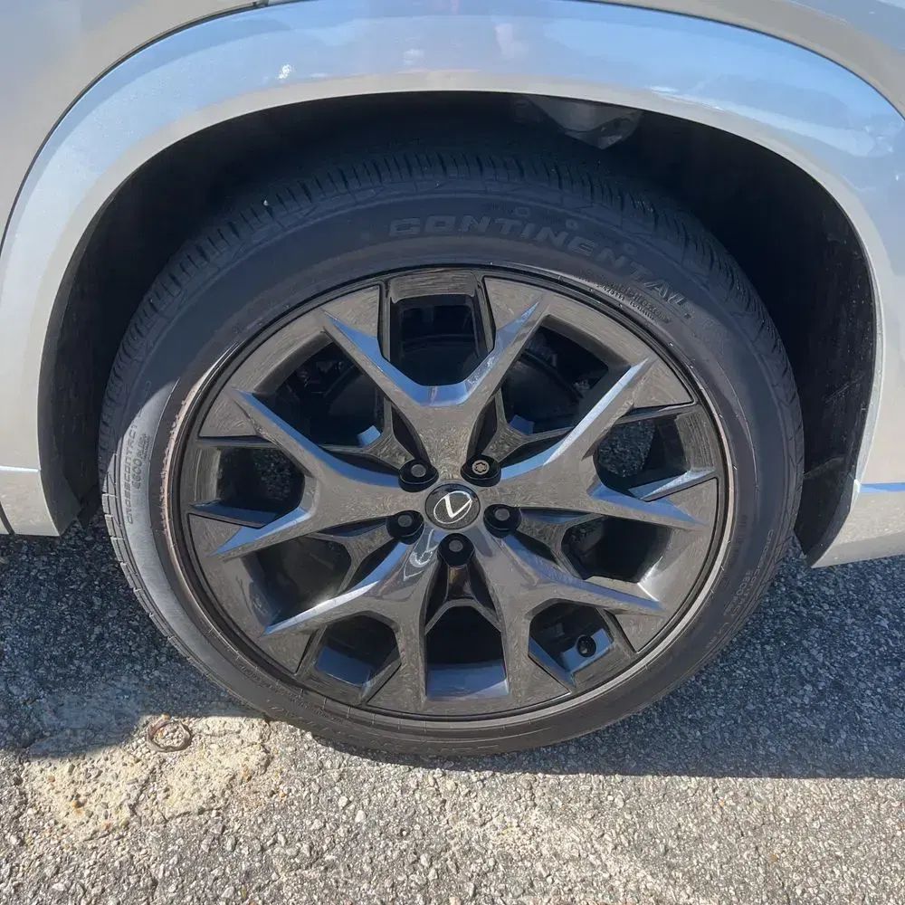 2025 Lexus TX 500h F SPORT Performance Premium