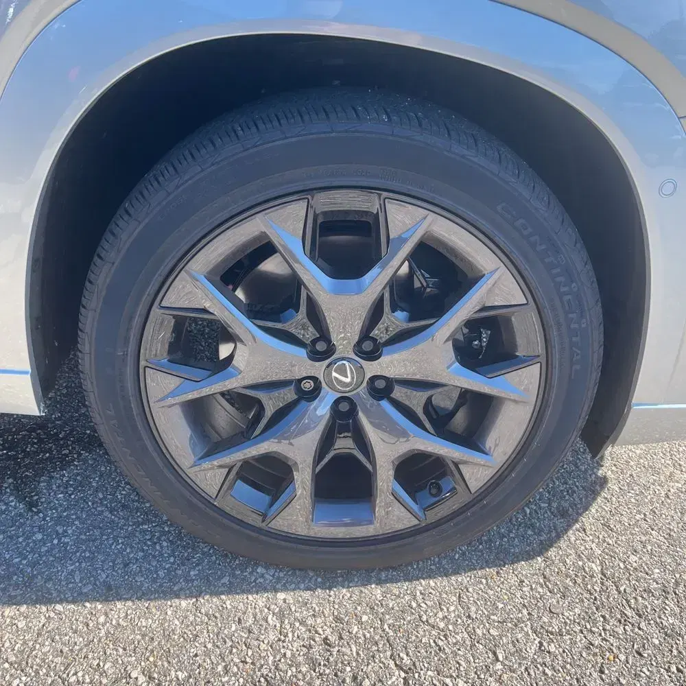2025 Lexus TX 500h F SPORT Performance Premium
