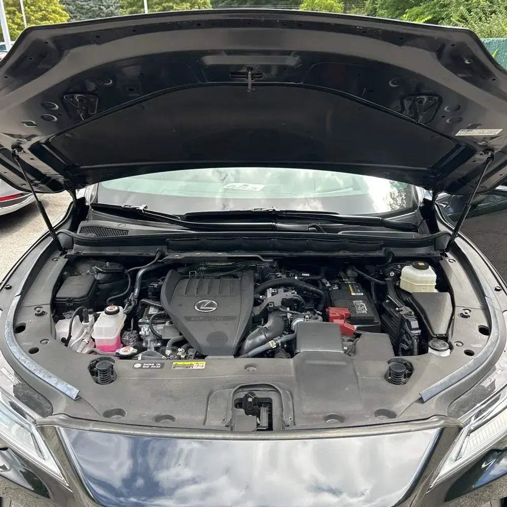 2023 Lexus RX 350 Luxury