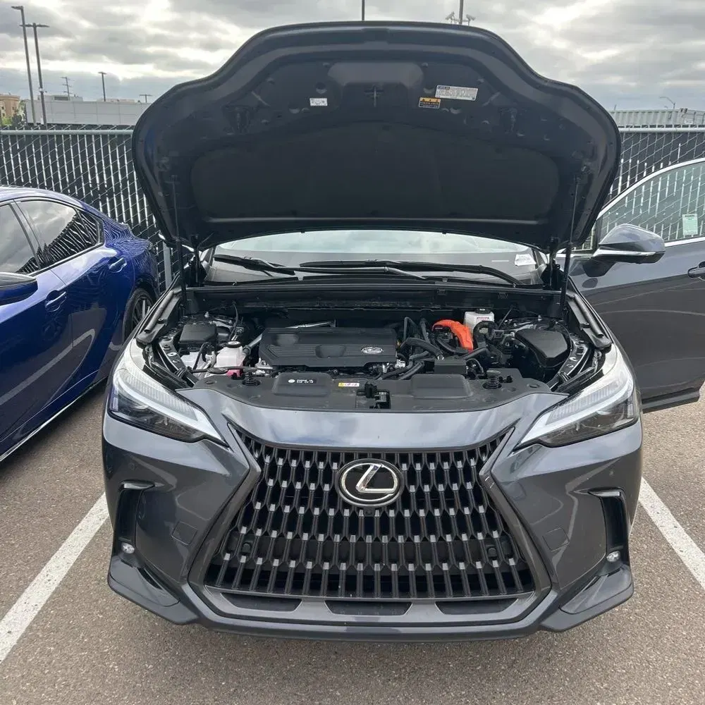 2025 Lexus NX 350h Premium