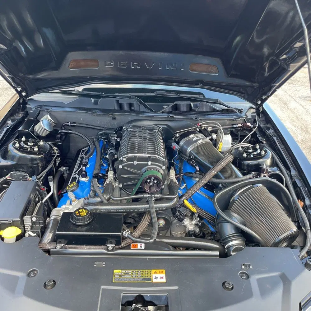 2013 Ford Shelby GT500 Base