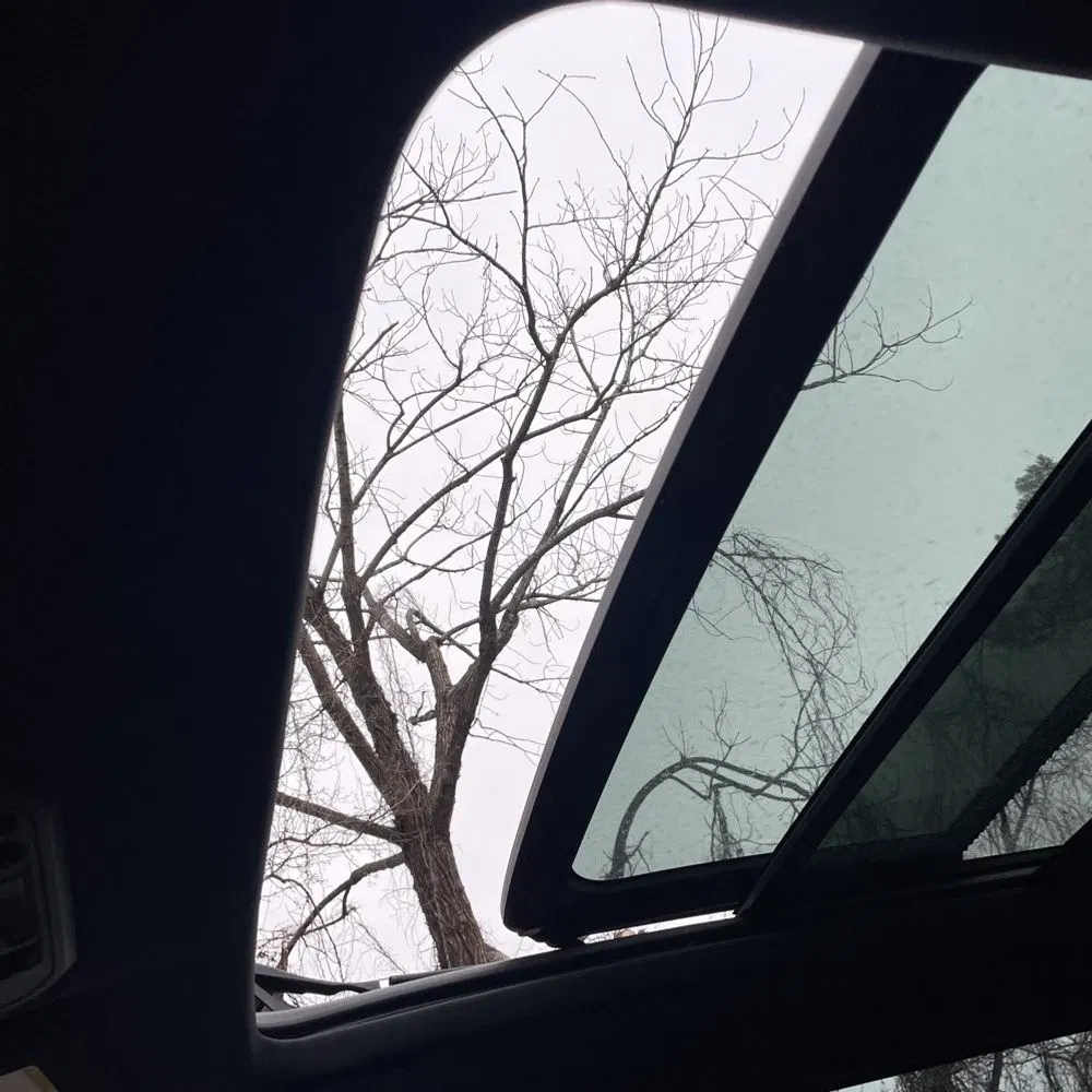 2024 Toyota Tundra TRD Pro HV
