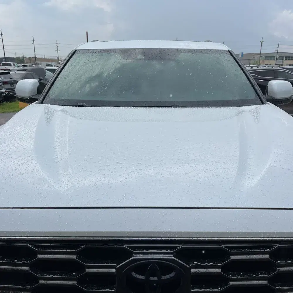 2025 Toyota Sequoia Platinum