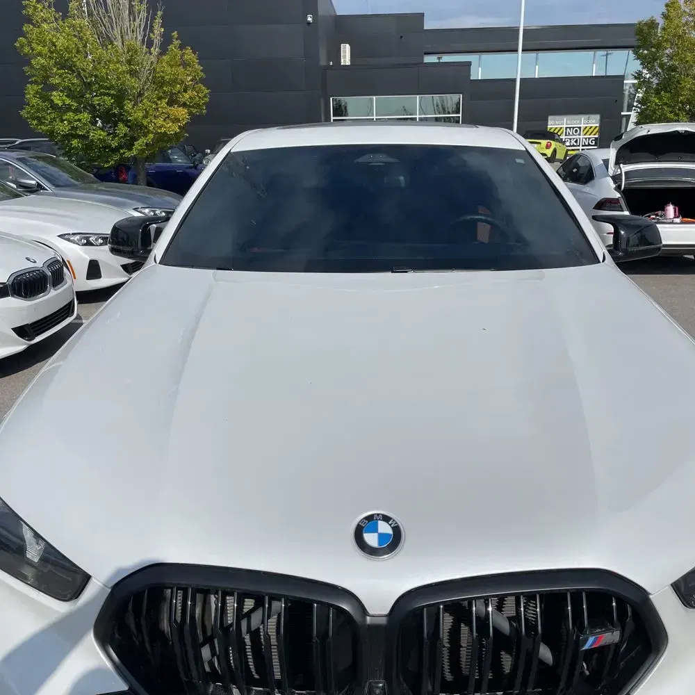 2024 BMW X6 M60i