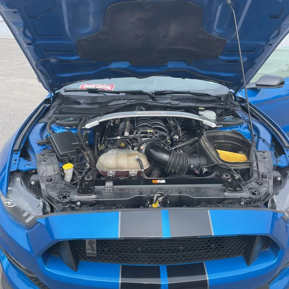 2019 Ford Mustang Shelby GT350